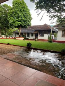 a pond in the yard of a house at Akkara Homestay & Ayurveda in Kottayam