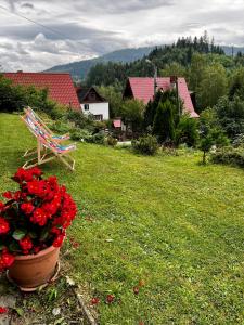 een tuin met een stoel en een bloempot en een plant bij Siedlisko u Jana in Korbielów