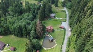 an aerial view of a house in a forest at Lotus chalet in Borzont