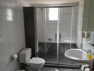 a bathroom with a shower and a toilet and a sink at Villa Karla in Pefkali +34 photos