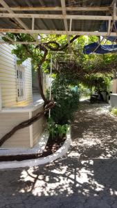 a patio with a tree next to a house at Huge Evleri 2 in Marmaris