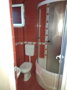 a bathroom with a toilet and a sink and a shower at Apartments Adriatika in Budva