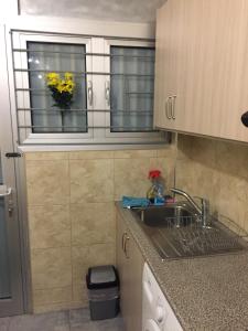 eine Küche mit einem Waschbecken und ein Fenster mit gelben Blumen in der Unterkunft Newly Refurbished Big Central Studio, less than 100m to the sea in Limassol