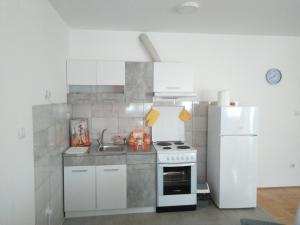Kuchyň nebo kuchyňský kout v ubytování Apartman MACA