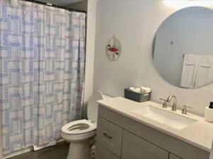 a bathroom with a toilet and a sink and a mirror at Near Venice Beach, sleeps 6, walk to river in Nokomis