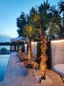 a patio with chairs and palm trees with lights at Casa Palmera in Novi Sad