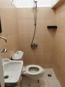 a bathroom with a toilet and a sink and a shower at Petra Gate Hotel in Wadi Musa