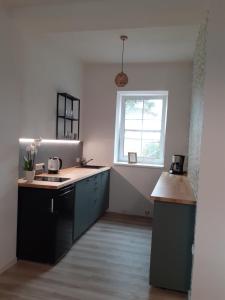 Kuchyňa alebo kuchynka v ubytovaní Apartmány Oxota