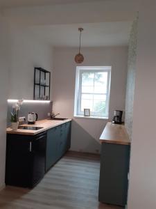 Kuchyňa alebo kuchynka v ubytovaní Apartmány Oxota