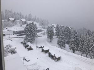 parking pokryty śniegiem z samochodami i drzewami w obiekcie studio tout confort au pied des pistes du lioran w mieście Laveissière