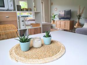 a living room with two potted plants on a table at Boho Apartment Oldenburg in Oldenburg