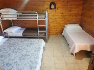 een kamer met 2 stapelbedden en een tapijt bij Podere del Sole 2 in Santa Marinella