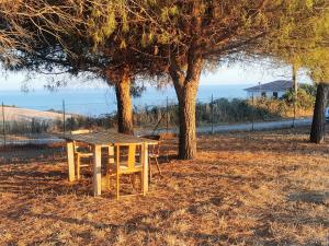 uma mesa de piquenique de madeira e uma árvore num campo em Podere del Sole 2 em Santa Marinella