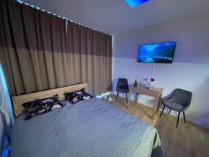 ein Schlafzimmer mit einem Bett und einem TV an der Wand in der Unterkunft ne-doma in Chomutov