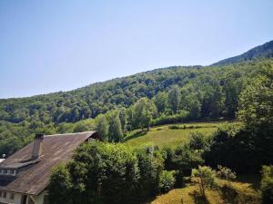 Príroda v okolí apartmánu