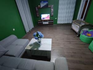 TV a/nebo společenská místnost v ubytování Guest House MARTA + 21 fotografií