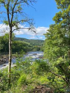 een rivier in het midden van een veld met bomen bij Cobbler's Cottage at Kindrochet, Strathtay in Pitlochry