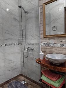 a bathroom with a sink and a shower at Flor de Lis in Puerto Iguazú