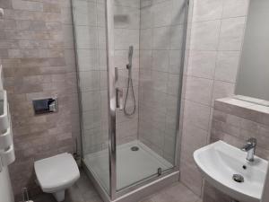 a bathroom with a shower with a toilet and a sink at Stary Młyn in Jelenia Góra