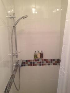 a bathroom with a shower with a glass door at The Bridge House in Hounslow