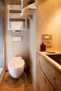 a bathroom with a white toilet in a room at Neve e Sole in Selva di Val Gardena