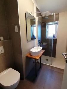Kúpeľňa v ubytovaní VILA Tina CRIKVENICA + 14 fotografií