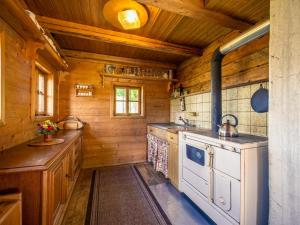 a kitchen with a stove in a wooden cabin at EAGGA-Niederleger Alm in Alpbach