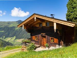 a log cabin on a hill with mountains in the background at EAGGA-Niederleger Alm in Alpbach