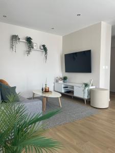 sala de estar con TV de pantalla plana en la pared en Charmant logement aux portes de Paris - STADE DE FRANCE - 12 min à pied en Saint-Denis