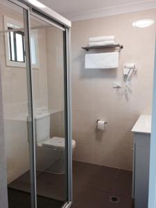 a bathroom with a toilet and a glass shower stall at Alexander The Great Motel in Windsor