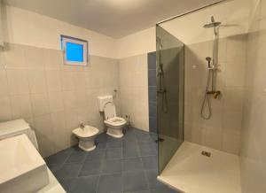 a bathroom with a toilet and a glass shower stall at Apartment Maslenica 12636a in Jasenice +14 photos