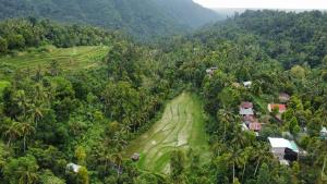an aerial view of a farm in the jungle at Ananda Homestay Lemukih in Singaraja