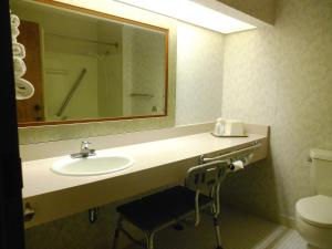a bathroom with a sink and a mirror and a toilet at Abby Inn in Abbotsford