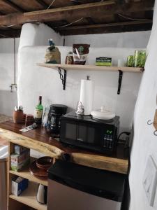 un microondas en la parte superior de un mostrador en la cocina en The O'asis, en La Ribera