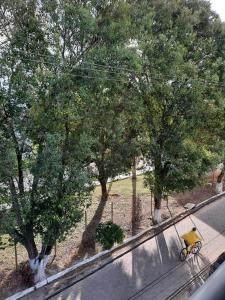 Fotografie z fotogalerie ubytování Pousada Avenida v destinaci Teixeira de Freitas