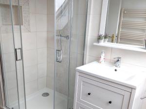 GladauAttic Holiday Home with Garden and Grill的浴室配有淋浴和洗手池 更多5张照片