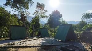 dos puertas verdes sentadas en la parte superior de un camino de tierra en Terras de Maria Bonita en Parati