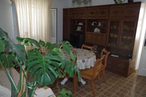 a dining room with a table and a plant at Apartment Mili - 50m from beach in Sutomišćica
