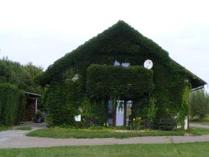Grzegorzewice的住宿－Dworek Lachowicze，常春藤覆盖的房屋,上面有脸
