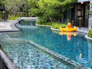 a pool with a rubber duck in the middle of it at The aristo-access pool room Surin beach in Phuket