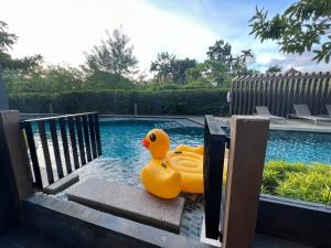 Bazén v ubytování The aristo-access pool room Surin beach nebo v jeho okolí + 61 fotografií