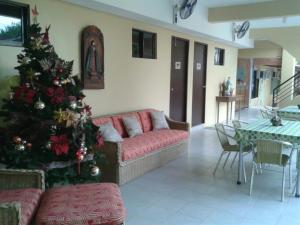 11th Street Bed and Breakfast في باكولود: غرفة معيشة مع شجرة عيد الميلاد وأريكة