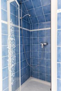 um chuveiro de azulejos azuis com uma cabeça de chuveiro em Cacatoès em Saint-Aignan
