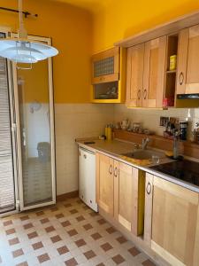 a kitchen with a sink and a shower in it at The cozy apartment in heart of the Nice 1km to sea in Nice
