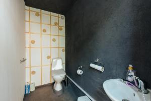 a bathroom with a white toilet and a sink at Pilsētas glempings - "Šķūņaugša" in Valmiera