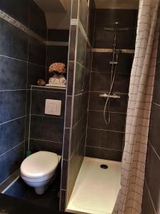 ein Bad mit einem WC und einer Dusche in der Unterkunft Le Bon'Aparte - Hypercentre de Fontainebleau in Fontainebleau