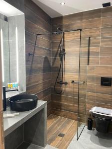 a bathroom with a shower with a sink and a toilet at 11 Luxury apartments. in Metsovo