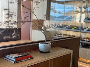una pianta in vaso seduta su un tavolo con libri di Hotel SANG SANG & Private SANG SANG POOL VILLA a Geoje