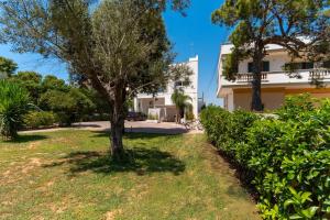 een boom in een tuin voor een gebouw bij Villa Algi in Nardò