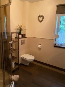 a bathroom with a toilet and a shower at Mazurskidom Zaścianek in Świętajno